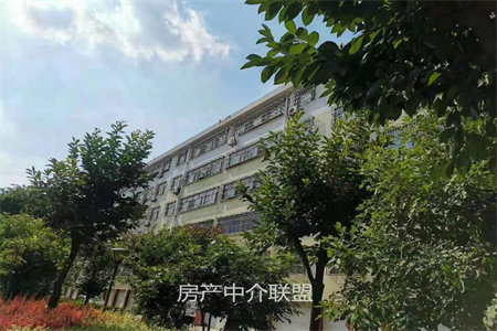 不怕便宜的看过来！金栗园97平套三送附房好楼层划科信
